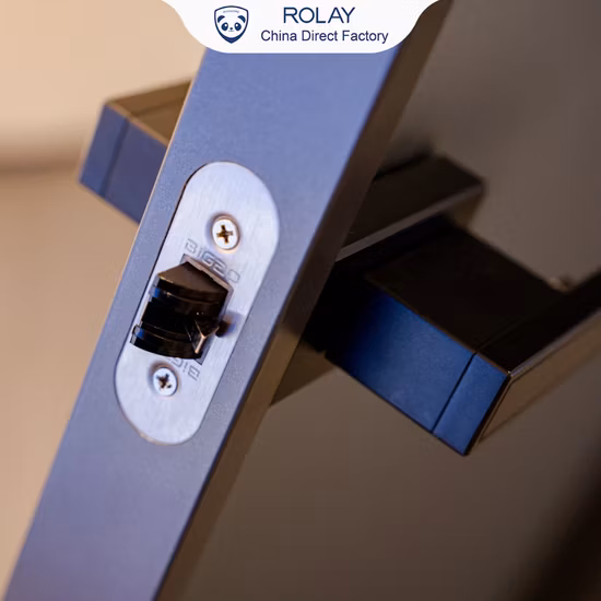 Soft Close Hinges Kitchen Cabinet Conceal Hinge Glass Door Hinge